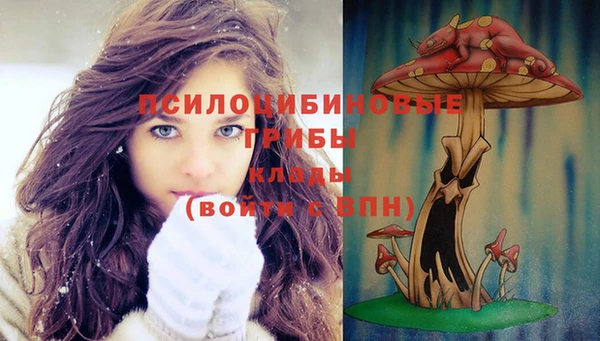 мет Аркадак