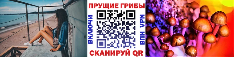 Галлюциногенные грибы GOLDEN TEACHER  Купить где  Дмитриев 