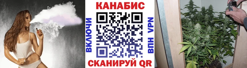 Купить где  Дмитриев  Шишки марихуана тримм 